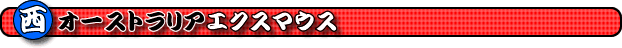 �G�N�X�}�E�X�@�j���K���[���[�t�@�G�N�X�}�E�X�ό��X�|�b�g