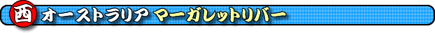 �}�[�K���b�g���o�[�@�}�[�K���b�g���o�[�ό��@�}�[�K���b�g���o�[���@�}�[�K���b�g���o�[�ό��X�|�b�g�@���I�[�X�g�����A�}�[�K���b�g���o�[�@�}�[�K���b�g���o�[�ό����