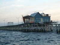 Scuba Diving in Western Australia, Perth Scuba Diving, Scuba Diving WA, Scuba Diving Spots in Western Australia 