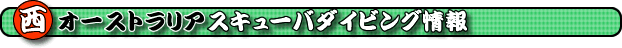 �p�[�X�@�X�L���[�o�_�C�r���O���@�X�L���[�o�_�C�r���O�K�C�h�@���I�[�X�g�����A