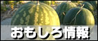 �U�v�`�g���x���K�C�h�̃T�C�g�}�b�v�@�U�v�`�g���x���K�C�h�̃T�C�g�}�b�v���@�T�C�g�}�b�v�@�U�v�`�g���x���K�C�h