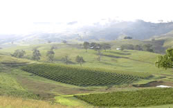 Tasty Globe �I�[�X�g�����A���C���@�I�[�X�g�����A�I���[�u�I�C���@�I�[�X�g�����A���C���C���^�[�l�b�g�̔��@�I�[�X�g�����A�I���[�u�I�C���C���^�[�l�b�g�̔��@�I�[�X�g�����A���C���E�I���[�u�I�C������