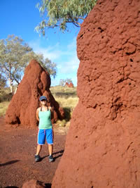 ���I�[�X�g�����A�̃A���˂���������@�A���ˏ��K�C�h�@�A���˂̔閧