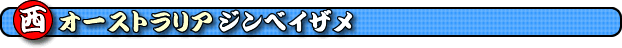 �W���x�C�U���@�G�N�X�}�E�X�̃W���x�C�U���@�j���K���[���[�t�̃W���x�C�U���@�W���x�C�U���Ɖj���@���I�[�X�g�����A�̃W���x�C�U��